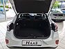 Ford Puma Titanium 1.0 EcoBoost Hybrid #4 J. Garantie